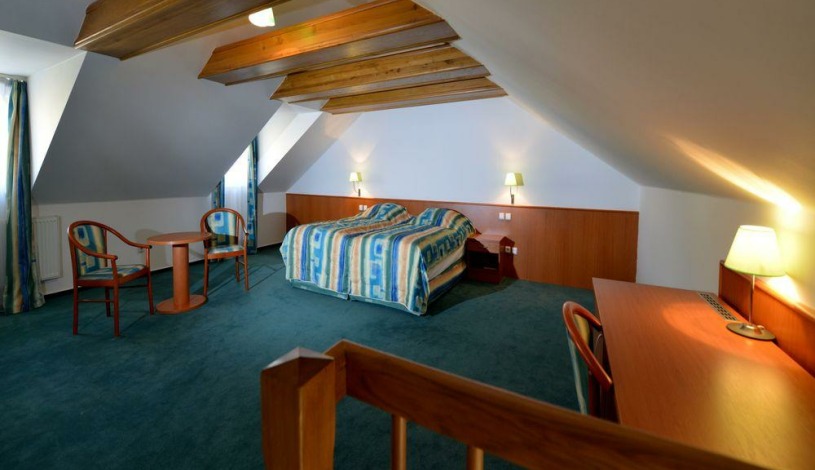 HOTEL DVOŘÁK **** České Budějovice
